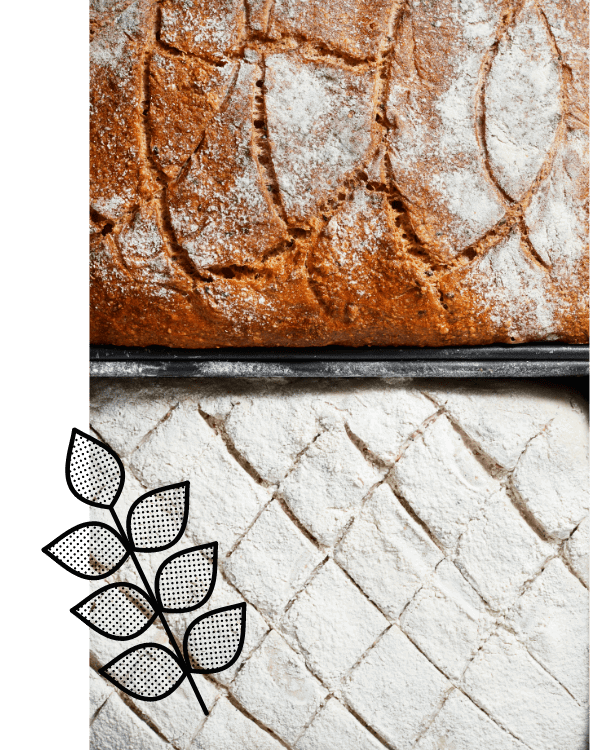 Concept Banneton Sandwicherie artisanale
