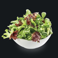 Image de Salade de saison