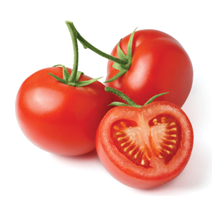 Tomate ronde en Rondelles