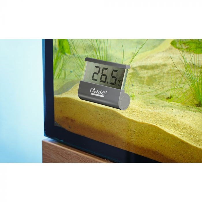 OASE - Thermomètre numérique d'aquarium - 