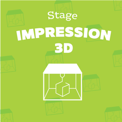 Image de STAGE IMPRESSION 3D : du lundi 23 au mercredi 25 octobre 2023 de 10h00 à 12h00