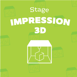 Image de STAGE IMPRESSION 3D : du mercredi 24 au vendredi 26 avril 2024 de 15h00 à 17h00