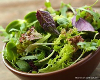 Image de Salade Verte