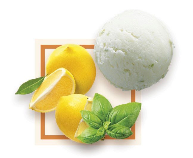 Sorbet Citron Basilic