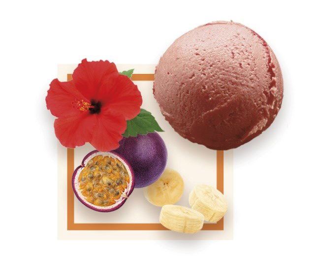 Sorbet Hibiscus Passion Banane