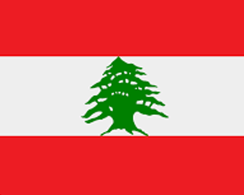 Image de la catégorie 🌲Le Cèdre du Liban