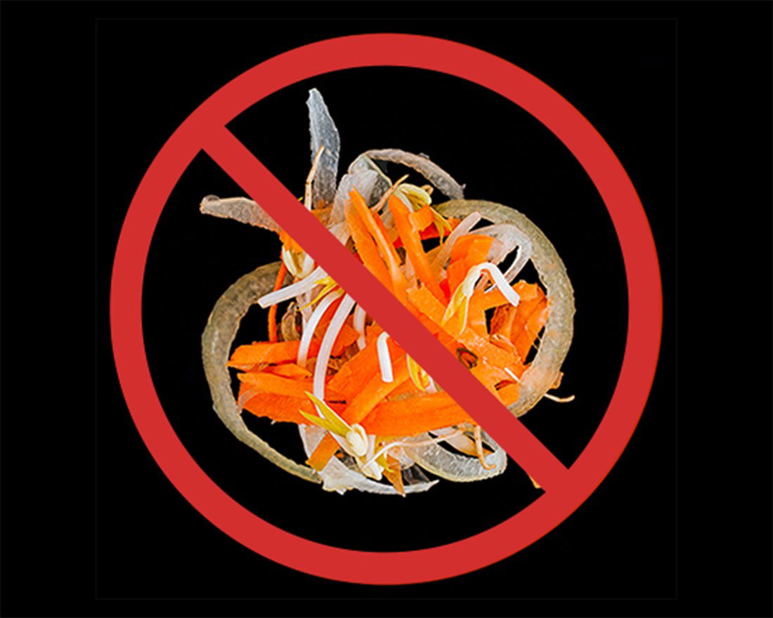 SANS CAROTTE, OIGNON