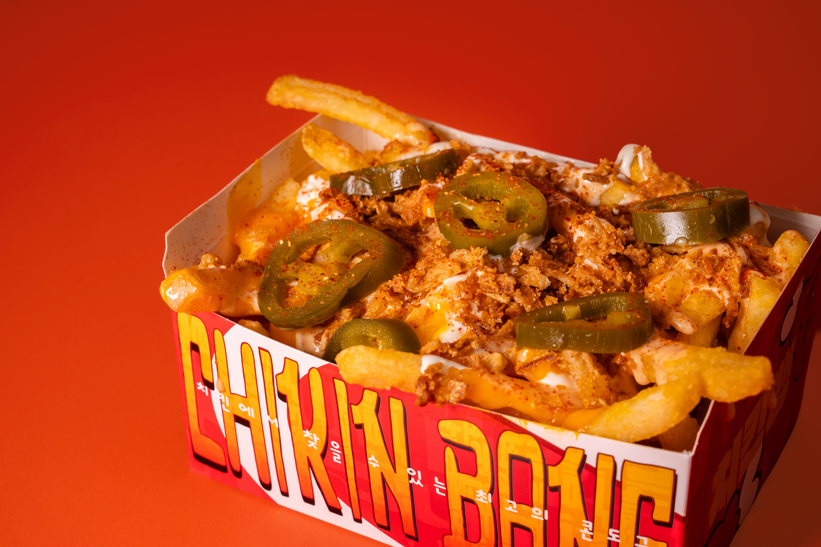 Loaded Fries