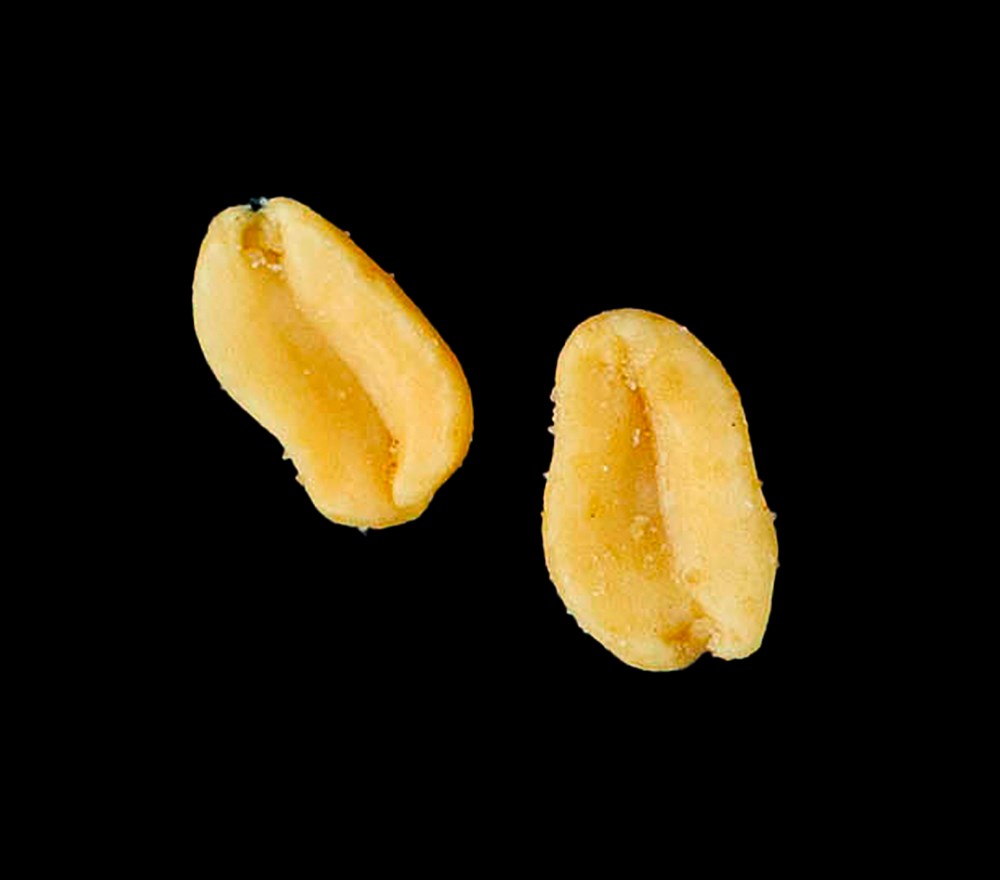 Cacahuetes