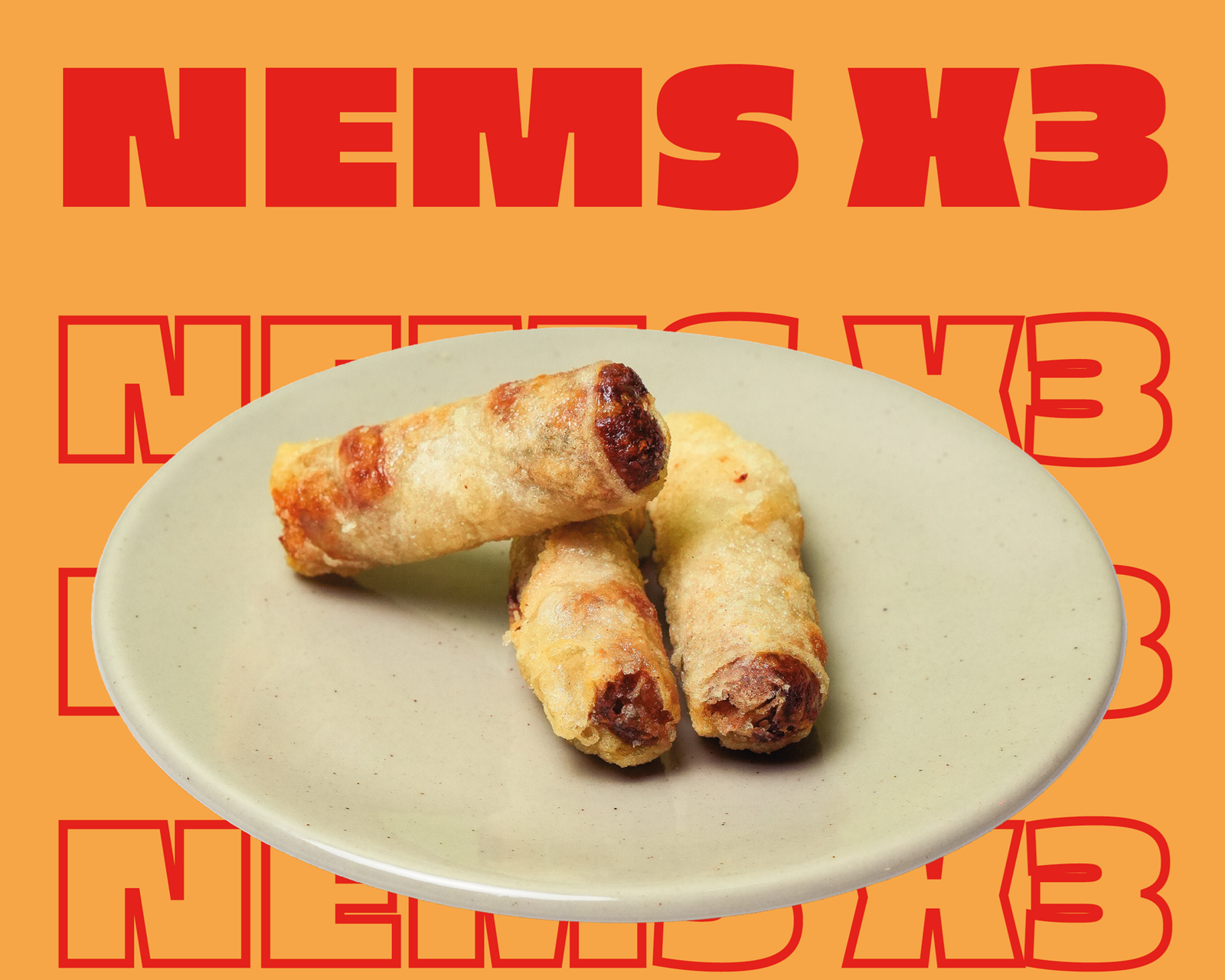 Nems au Poulet x3